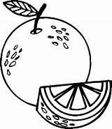 Coloring Jeruk Mewarnai Frutas Laranja Buah Sketsa Fruta Oranges Menggambar Toppng Pohon Resultado Brindes Bojanka Crianças Escuela Abierta Onlycoloringpages sketch template