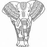 Elephant Coloring Pages Adults India Kids sketch template