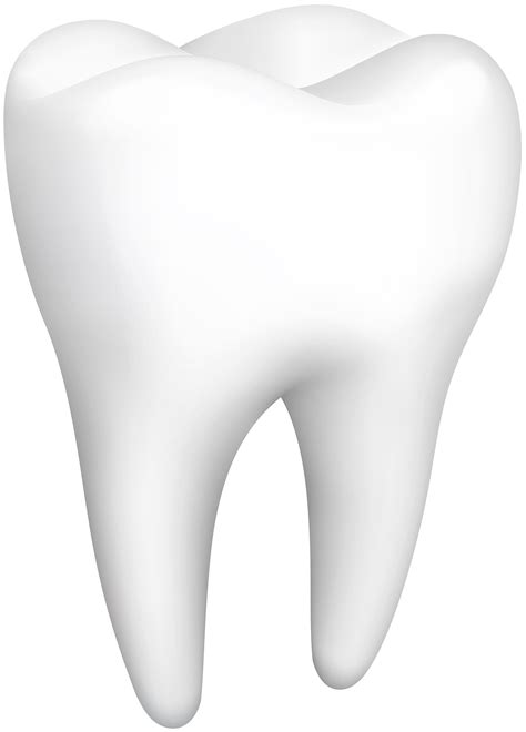 tooth clipart png   cliparts  images  clipground