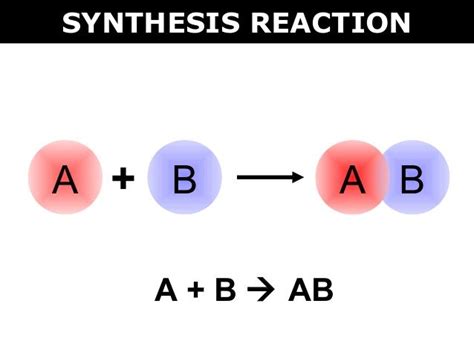 synthesis reaction weekly  reflection pinterest