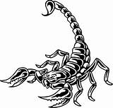 Scorpion Clipart Clip Drawing Scorpio Cliparts Tattoo Cute Crown Miss America Cool Drawings Tribal Tattoos Use Animals Artwork Clipartbest Library sketch template