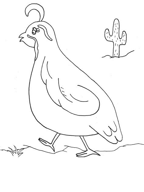 quail coloring page coloring home