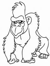 Coloring Pages Face Drawing Pig Gorilla Printable Kids Drawings Animals Color Animal Two Print Jungle Baby Cartoon Gordo Sheets Ape sketch template