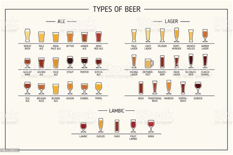 Types Of Beer Various Types Of Beer In Recommended Glasses
