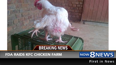 kfc farms raided by fda