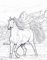 Cavalos Cavalo Selvagens Desenho Online24 Colorido sketch template