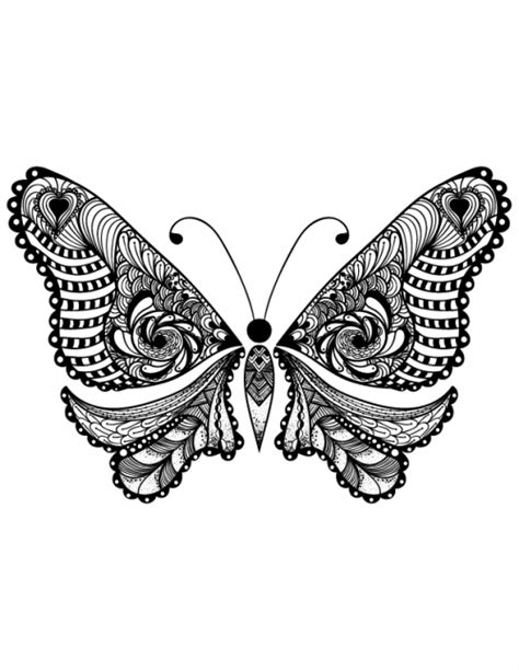 adult coloring butterfly page  kidspressmagazinecom