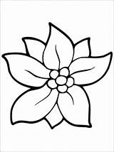 Flower Jasmine Drawing Clipartmag Coloring Pages sketch template