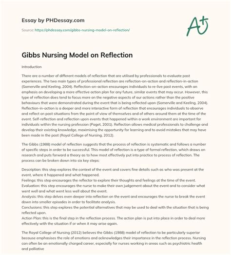 gibbs nursing model  reflection phdessaycom