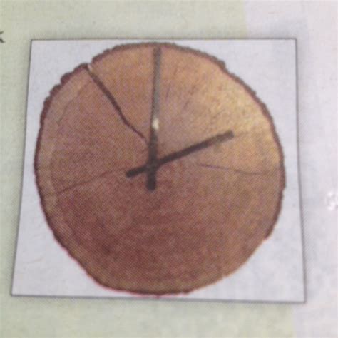 originele klok schijf van een boomstam en een klok erin van bv action