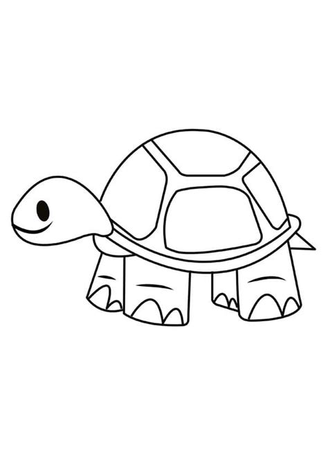 simple turtle coloring page  printable coloring pages  kids