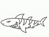 Shark Basking Thanksgiving Specials sketch template