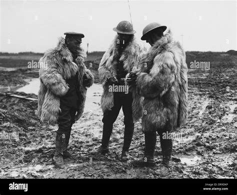 british troops  res stock photography  images alamy