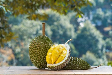 Durian Hunting 101 Where To Get Premium Durians At The Best Prices