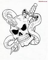 Snake Skull Tattoo Tribal Drawing Skulls Cool Sword Evil Rose Dagger Tattoos Roses Getdrawings Designs Sketch 3d Sample Guardado Desde sketch template