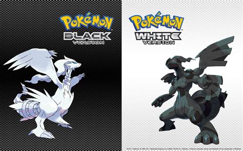 video game pokemon black  white hd wallpaper