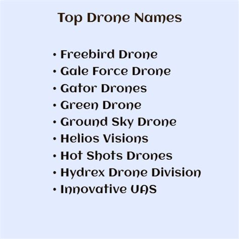 drone company names ideas availability check