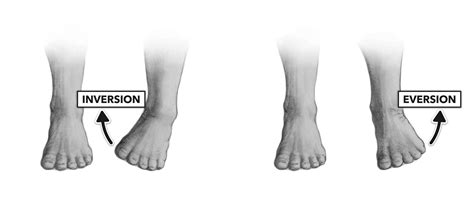 crossfit movement  joints part   ankle
