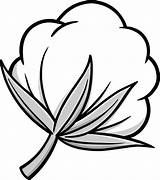 Cotton Clipart Vector Illustration Boll Plant Clip Cartoon Bolls Bowl Stock Blossom Plants Illustrations Some Royalty Crop Cliparts Clipground Graphics sketch template