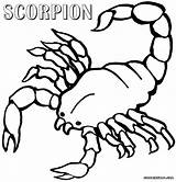 Scorpion Kombat Mortal Scorpions Coloringhome sketch template
