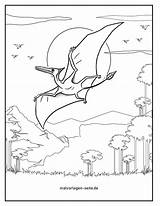 Flugsaurier Dinosaurier Ausmalbilder Malvorlage Ausmalbild sketch template