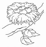 Nest Coloring Bird Pages Eggs Drawing Place Safest Colouring Color Printable Tocolor Animal Template Drawings Sketch Getdrawings Choose Board 616px sketch template