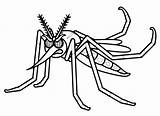 Dengue Mosquito Aedes Aegypti Insetti Zanzara Imagens Febre Amarela Colorir Colorare Arrabbiata Disegni Educação Coloradisegni Escolares Printable Ciclo Alfabetização Escola sketch template