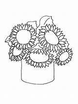 Coloring Sunflower Pages sketch template