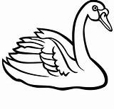 Swan Clipart Clip Drawing Line Tattoo Getdrawings Lake Clipartmag Svg Cliparts Clipground sketch template