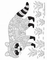 Raccoon Colouring Zentangle Woojr Mycoloring Coloringbay Skunk sketch template