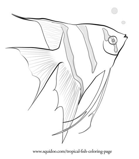 tropical fish coloring page fish coloring page animal coloring pages