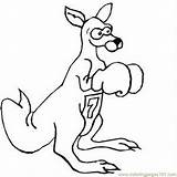 Kangaroo Boxing Coloring Printable Color Pages Drawing Tree Easy Cliparts Online Sports Getdrawings Clipartmag Library Clipart sketch template