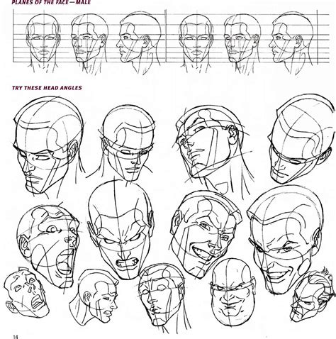 perspective anime head angles  beginners  tempted  camouflage