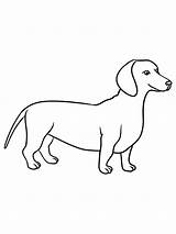 Dachshund sketch template