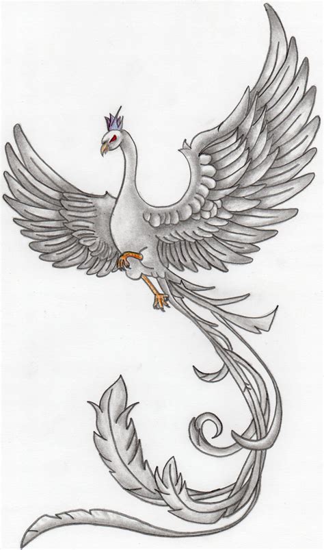 part   phoenix drawings phoenix drawing phoenix bird art