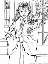 Potter Harry Coloring Pages Adults Getcolorings Color Printable sketch template