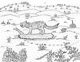 Coral Sand Pink Dunes Plants Animals Robin Coloring Pages Great Common Fox Grey sketch template