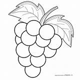 Owoce Winogrona Kolorowanka Druku Rysunek sketch template