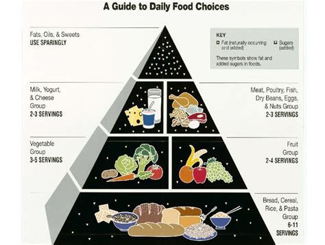 difference  myplate  food pyramid myplate  food pyramid