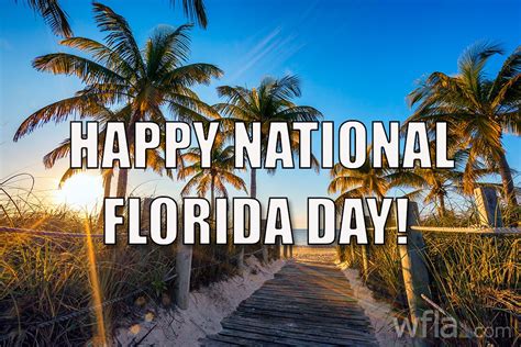 happy national terraces  clearwater beach apartments