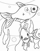 Coloring Dingo Pages Fish Printable Kids Fishes Getcolorings Sc Ray Fresh sketch template