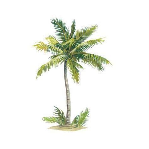 mini palm tree ebay