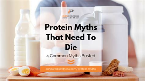 Protein Myths That Need To Die Iron Paradise Fitness