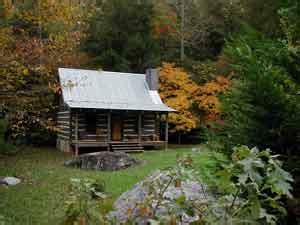 cabin  shed plans