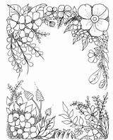 Coloring Adult Pages Colouring Flower Borders Flowers Cute Drawing Sheets Bloem Pattern Floral Drawings Book Printable Line Designs Visit sketch template