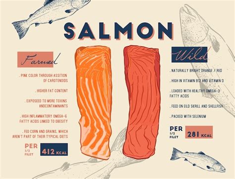 premium vector comparison  wild  farmed salmon filet