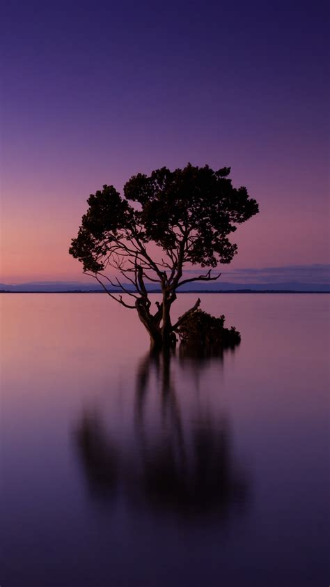 Download Our HD Sunset Lake Wallpaper For Android Phones0539