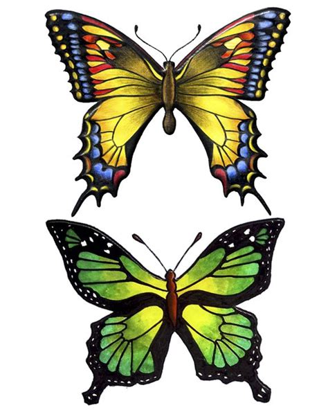 kids butterfly printables crafts coloring pages clip art images  pinterest
