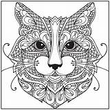 Pages Coloring Cat Intricate Adult Cats Getdrawings Colorings sketch template