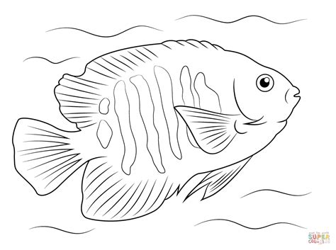 tropical fish coloring pages google search fish coloring page